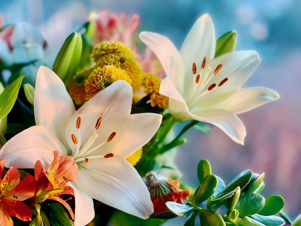Flowers Background
